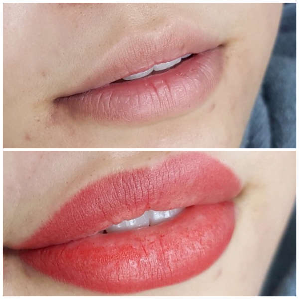 Cấu Trúc Da Người Trong Phun Xăm, Nền Tảng Kỹ Thuật Viên 3 Tư vấn Ăn gì để hình xăm đẹp và bảo vệ da tốt nhất