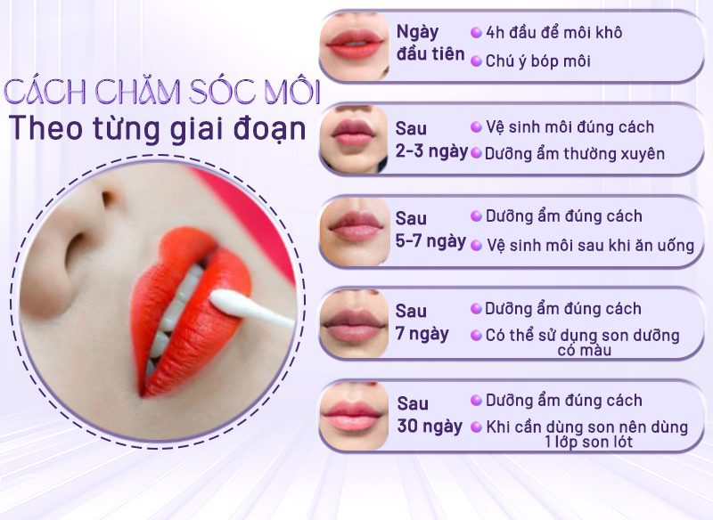 Chăm Sóc Môi Sau Khi Phun Toàn Tập Lên Màu Chuẩn Đẹp 2 cham soc moi sau phun len mau dep cach cham soc moi sau khi xam e1764409779697